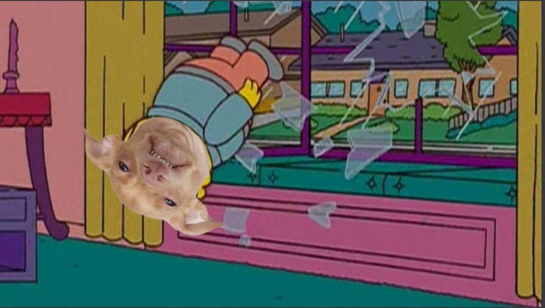 Meme
