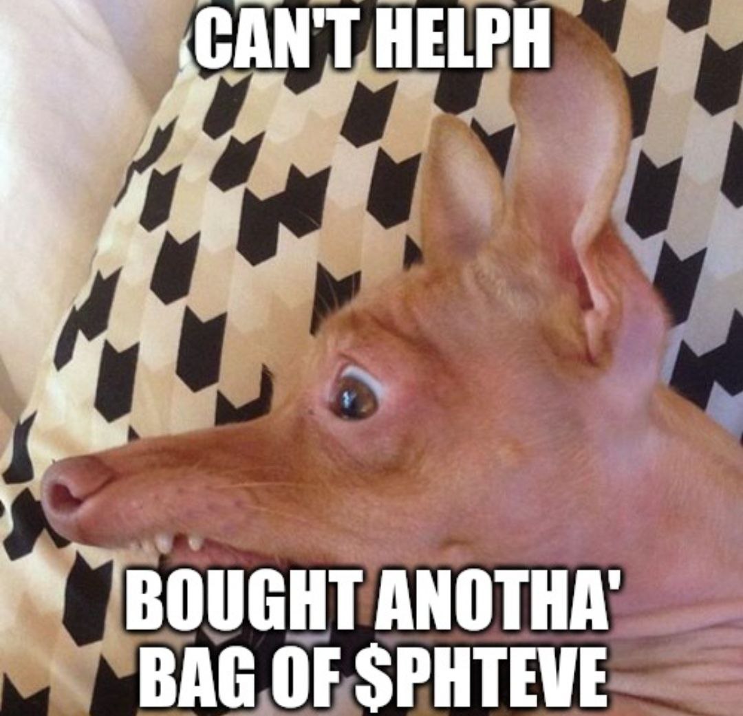 Meme
