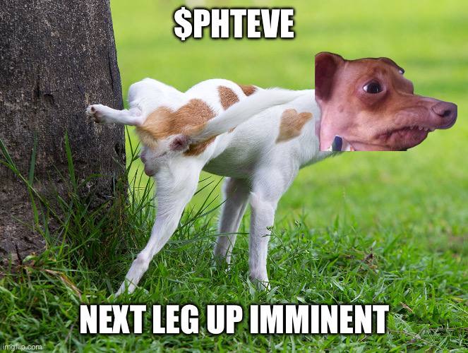 Meme