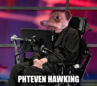 Meme