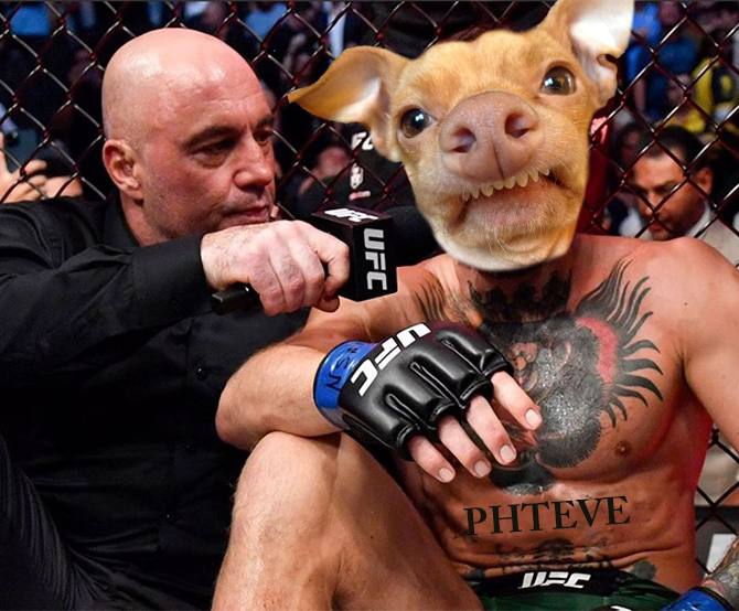 Meme