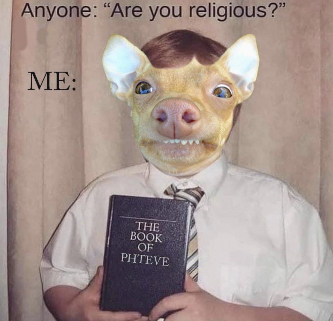 Meme